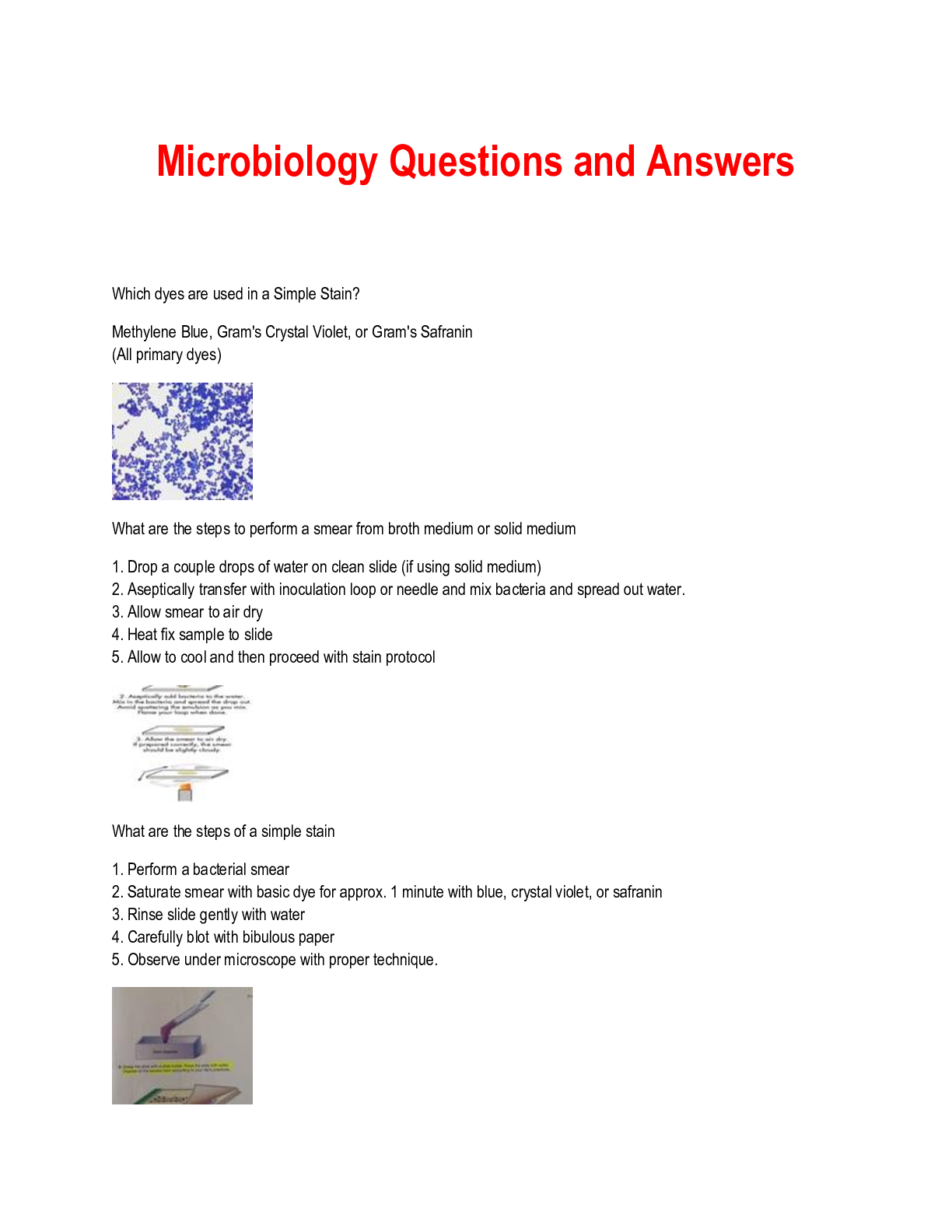 Preview image for Microbiology Questions and Answers